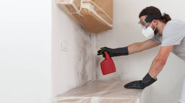 Professional Mold Inspection And Testing technician working in Libertyville, IL