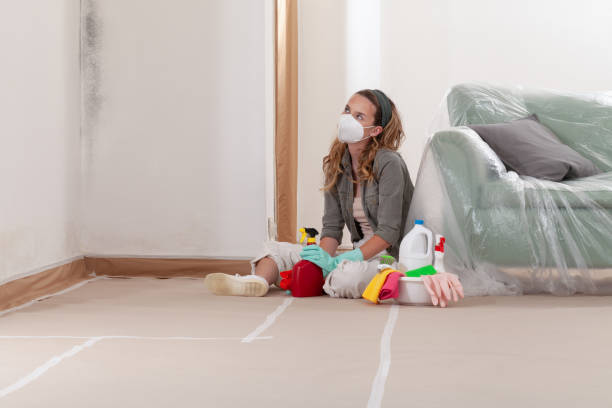Reliable Mold Inspection And Testing contractor in Libertyville, IL by Mold Remediation HQ
